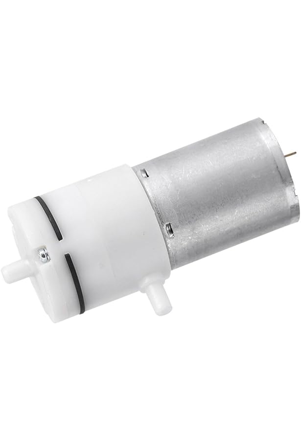 Moteur DC de Pompe à air Mini 370A 12 V