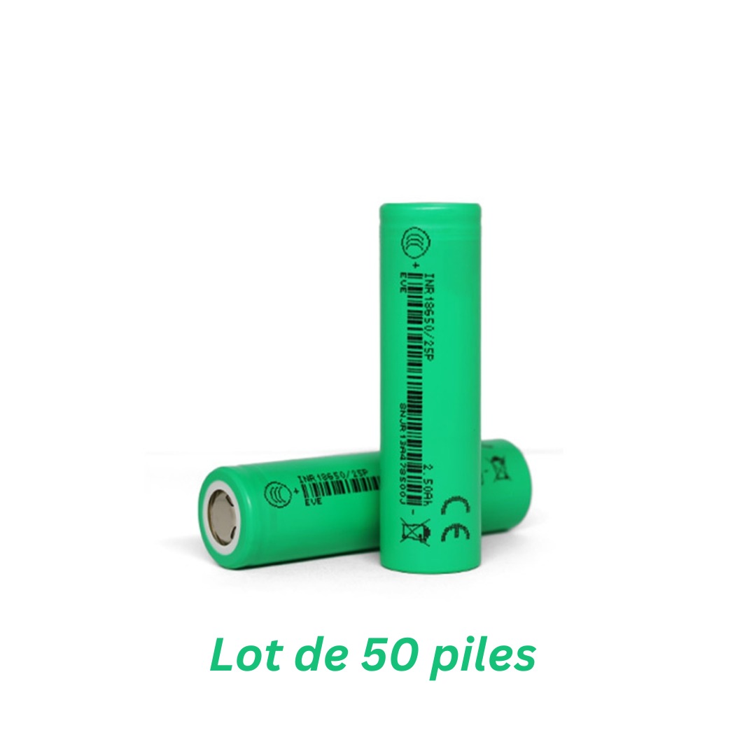 Support de 2 batteries + 2 Batteries Rechargeables 18650 3.7 V 4800mAh