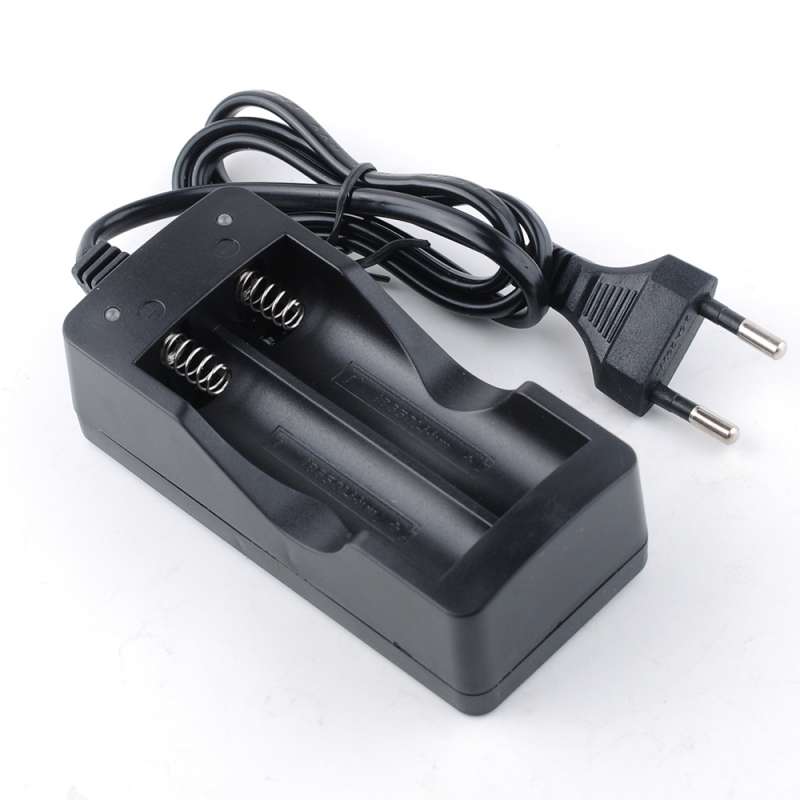 Chargeur 18650 3.7V 1A standard europen  Charge intelligente duale |  ELECTRONIC SHOP